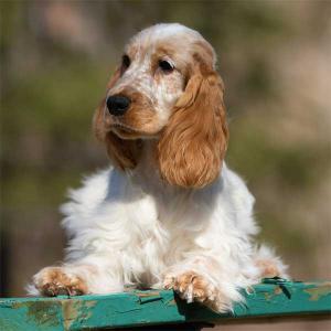 Casual - Un peu de tout