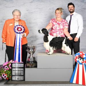 Best Of Breed: GChB Winfree It's A Bug's Life