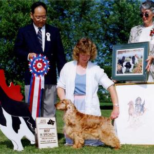 BISS ENGLISH SHOW CH/AM/CAN/BDA CH. KAVORA LUCIA