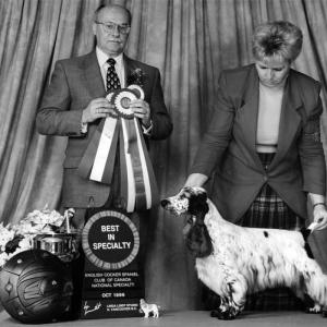 BISS CAN. AM. CH. CARNABY CURTAIN CALL