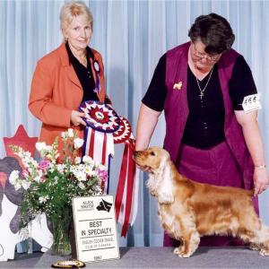 BISS AM/CAN CH. WITTERSHAM’S XEMPLAR ECM