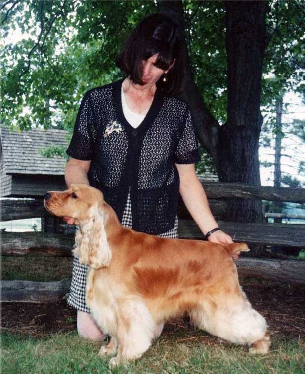 Master Cocker 1986 - 2008 - English Cocker Spaniel Club of Canada