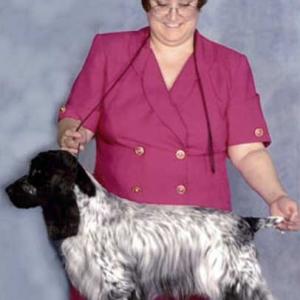 BISS & HIT CH. WILLOWCROFT’S SINGLE SENSATION AM. NAP, NJP